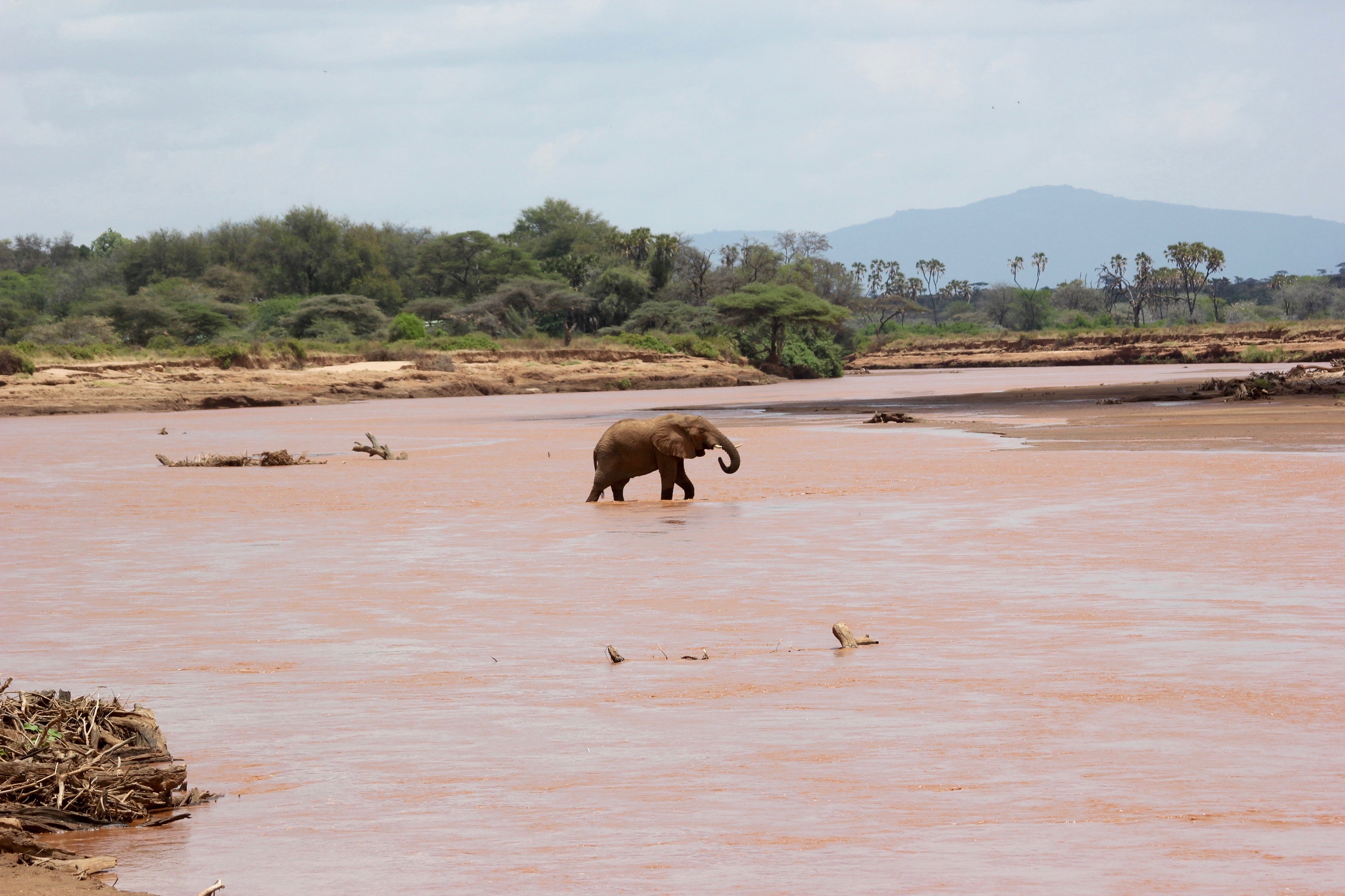 Protected areas act as an important wildlife corridor for Kenya’s major national parks