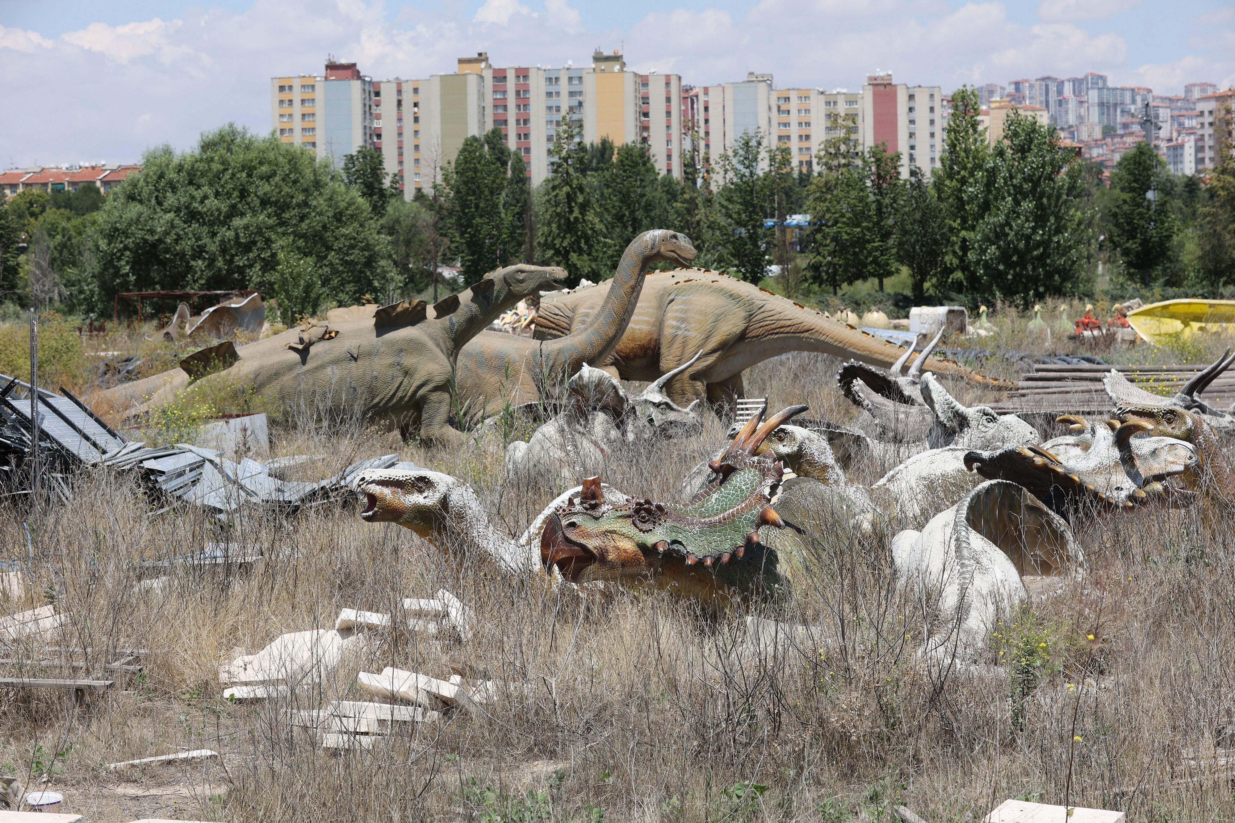 The park lies dormant, collecting dust and rotting away like a scene from a post-apocalyptic television series