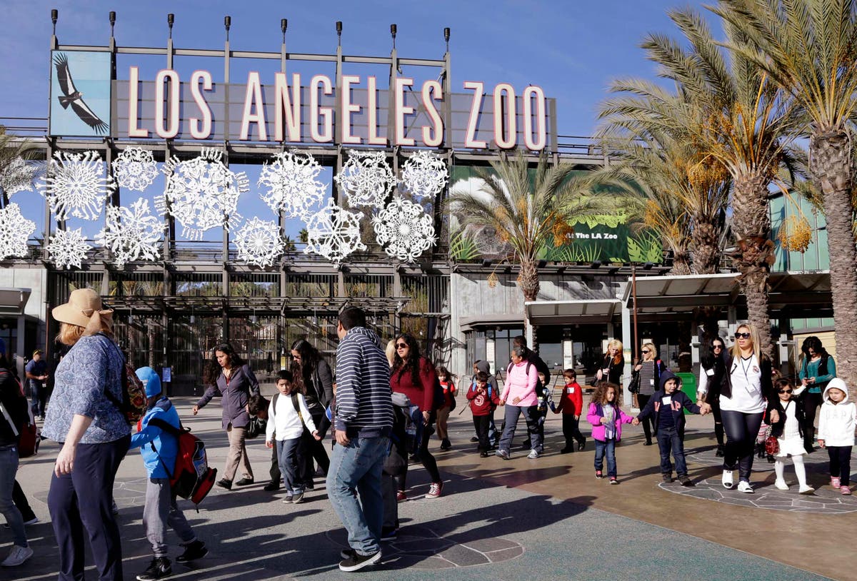 $650M plan would give Los Angeles Zoo flashy transformation