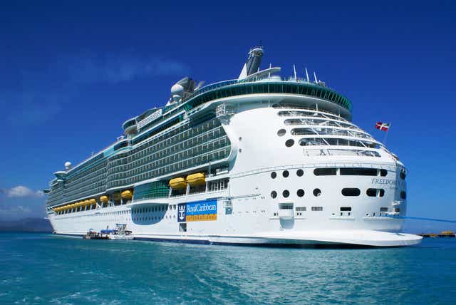 <p>Royal Caribbean’s Freedom of the Seas cruise ship</p>