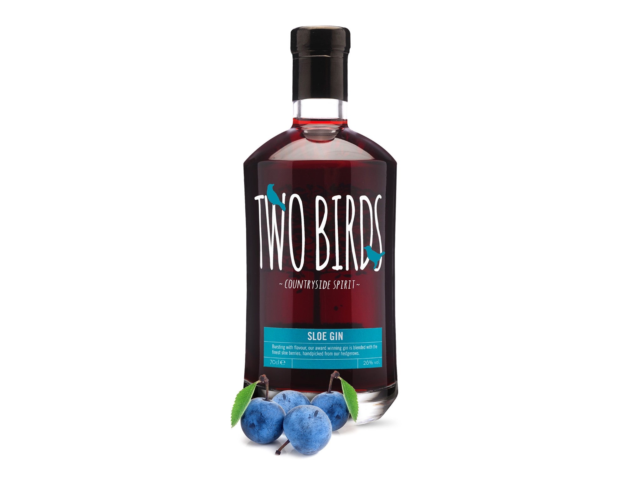 Two Birds sloe gin, 70cl indybest.jpeg
