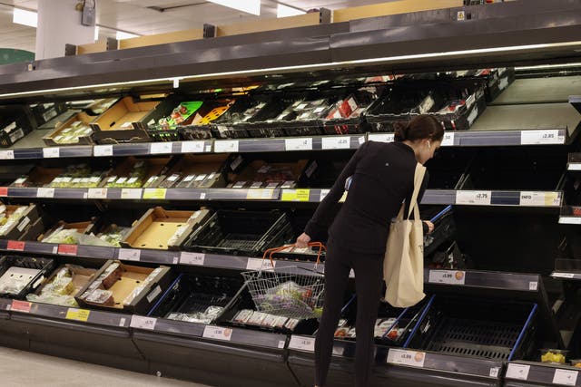 <p>Empty shelves at a Sainsbury’s supermarket in London</p>