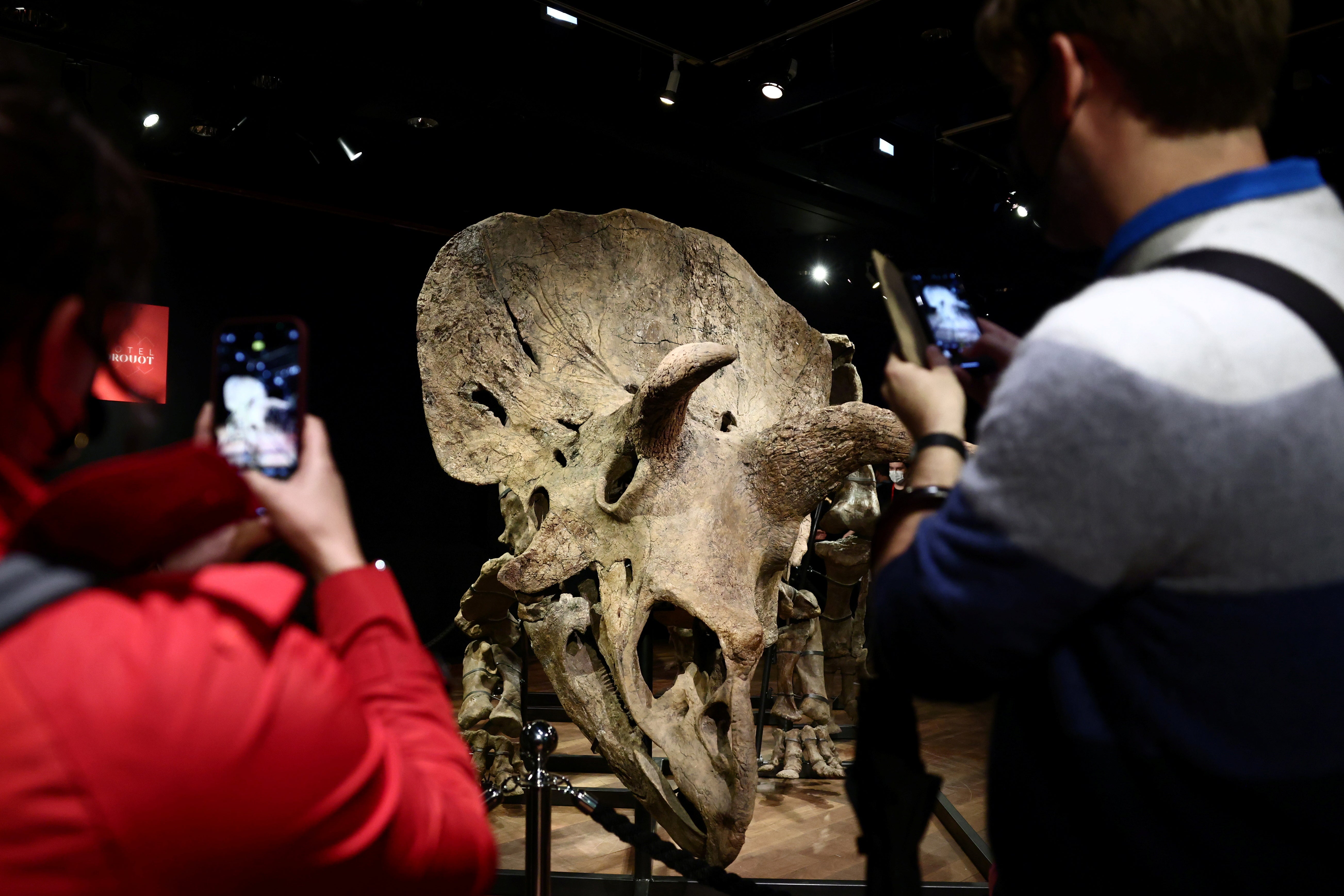 The skeleton of ‘Big John’, a gigantic Triceratops, sold for an incredible $7.7 million (£5.5m)