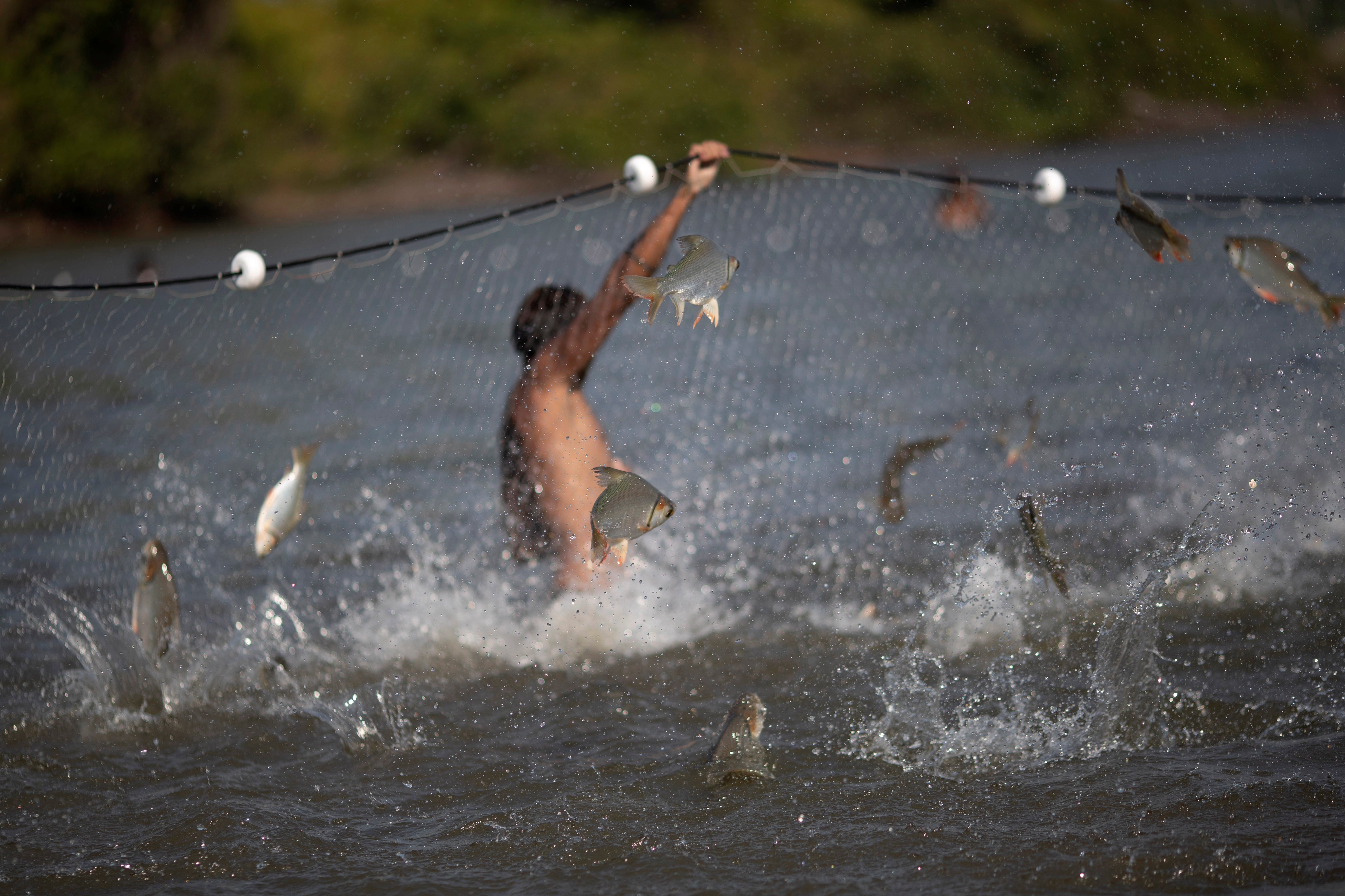 A Yawalapiti man fishes in the Tuatuari river