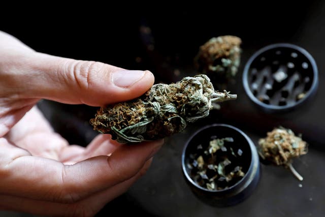 <p>Luxembourg’s coalition government agreed in 2018 that it would work towards the ‘exemption from punishment’ or legalisation of cannabis </p>