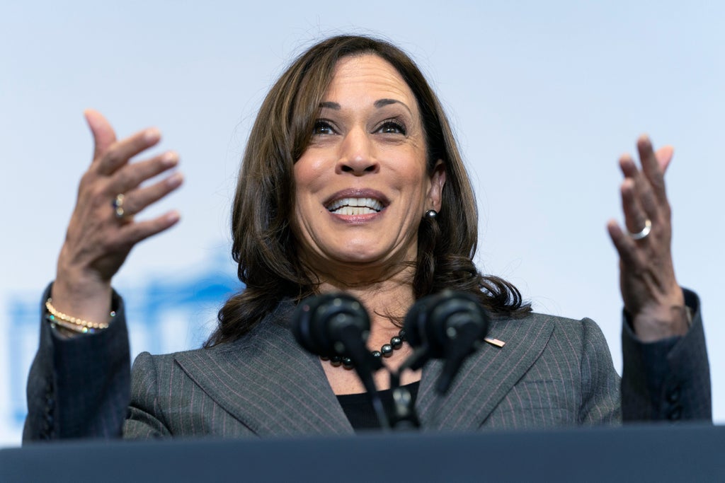 Kamala Harris’s approval rating worse than Dick Cheney’s, poll finds