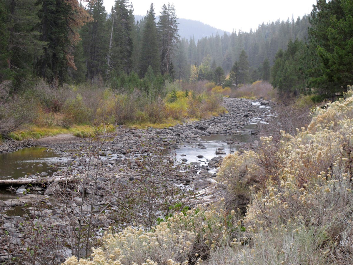Climate change disrupting natural cycles at drier Lake Tahoe Climate change disrupting natural cycles at drier Lake Tahoe