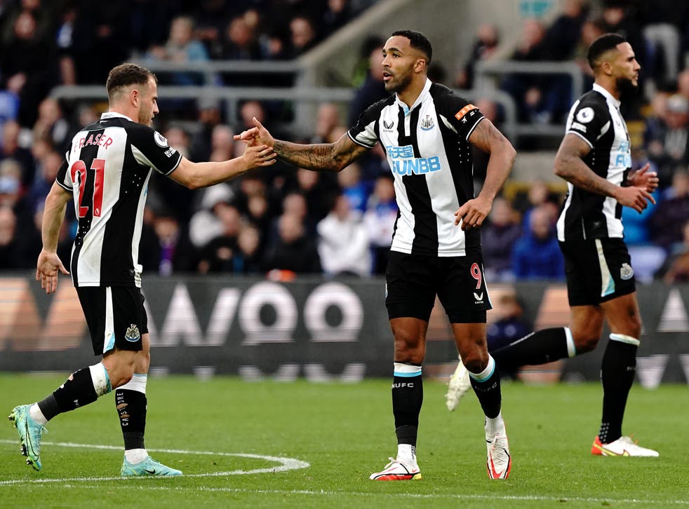 Callum Wilson is congratulated after his equaliser for Newcastle at Crystal Palace (Jonathan Brady/PA)