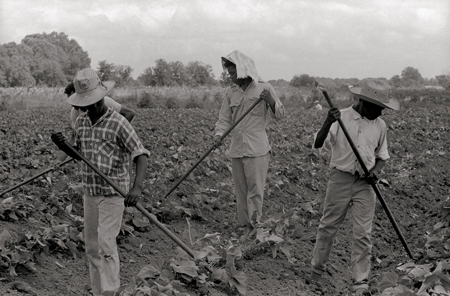 ‘Grand Marie Farmers Cooperative, Lafayette’, Louisiana, 1969