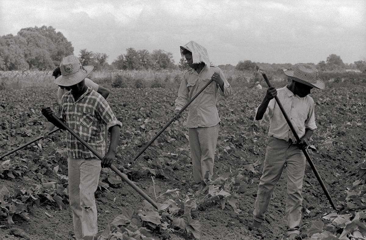 A journey into the struggle for civil rights