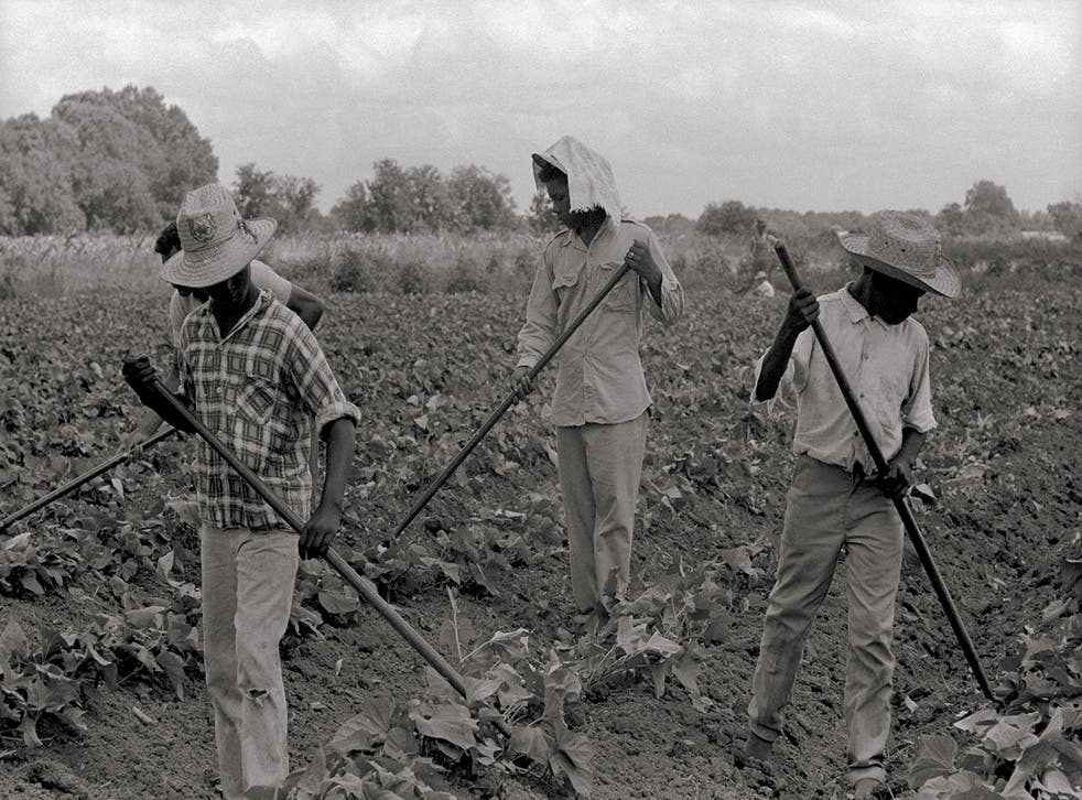 <p>‘Grand Marie Farmers Cooperative, Lafayette’, Louisiana, 1969</p>