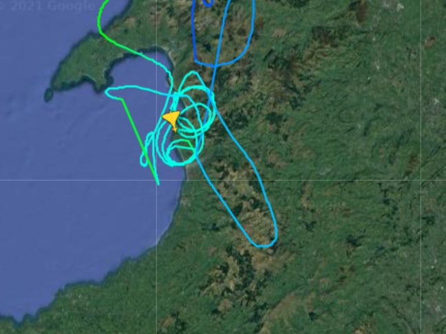 The unusual flight path was spotted online