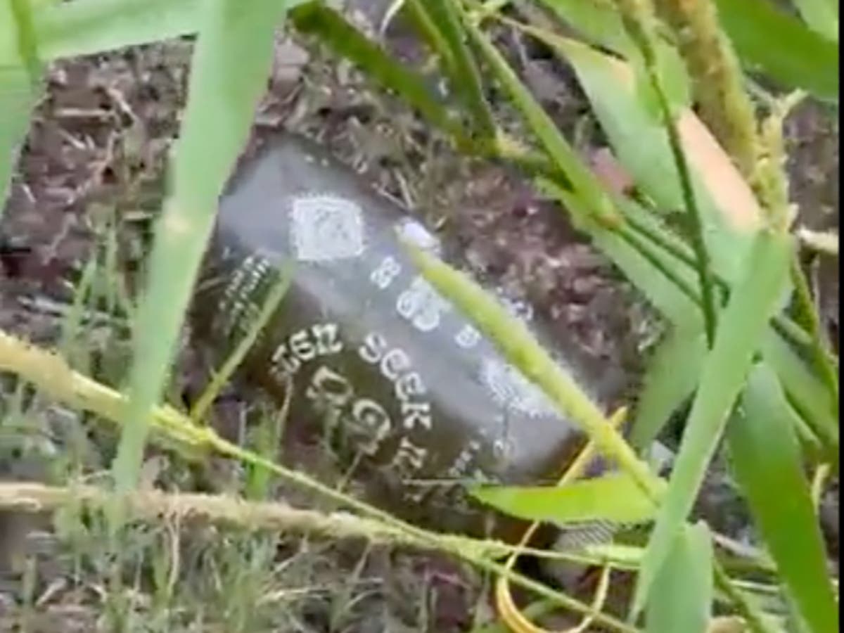 Internet obsessives scour Florida reserve for Laundrie clues showcasing possible ‘gator bones’ on social media Internet obsessives scour Florida reserve for Laundrie clues showcasing possible ‘gator bones’ on social media