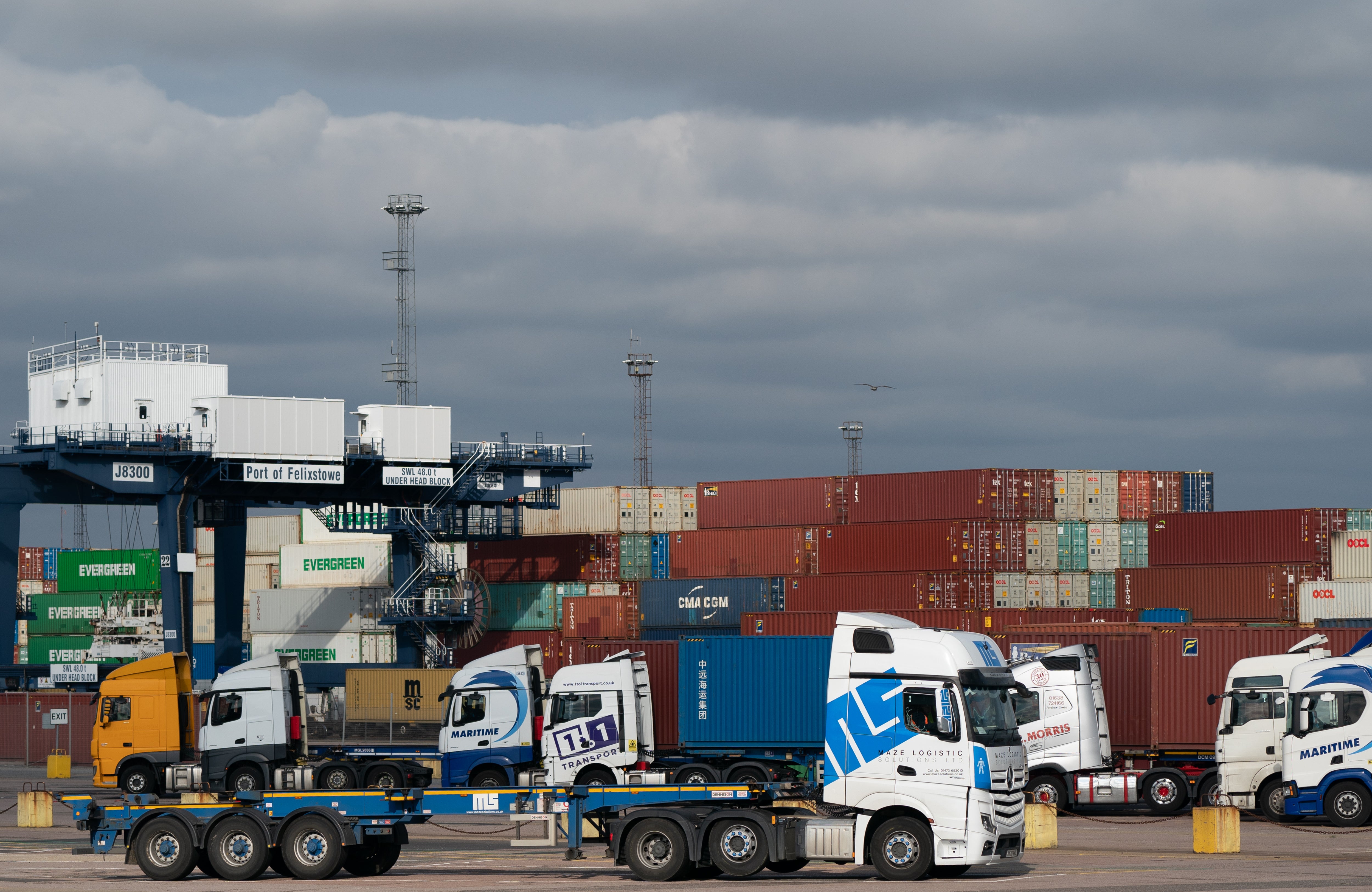 <p>Lorries wait at the Port of Felixstowe in Suffolk (Joe Giddens/PA)</p>