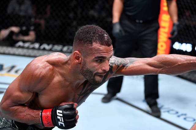 <p>British UFC welterweight Danny Roberts in action this month</p>