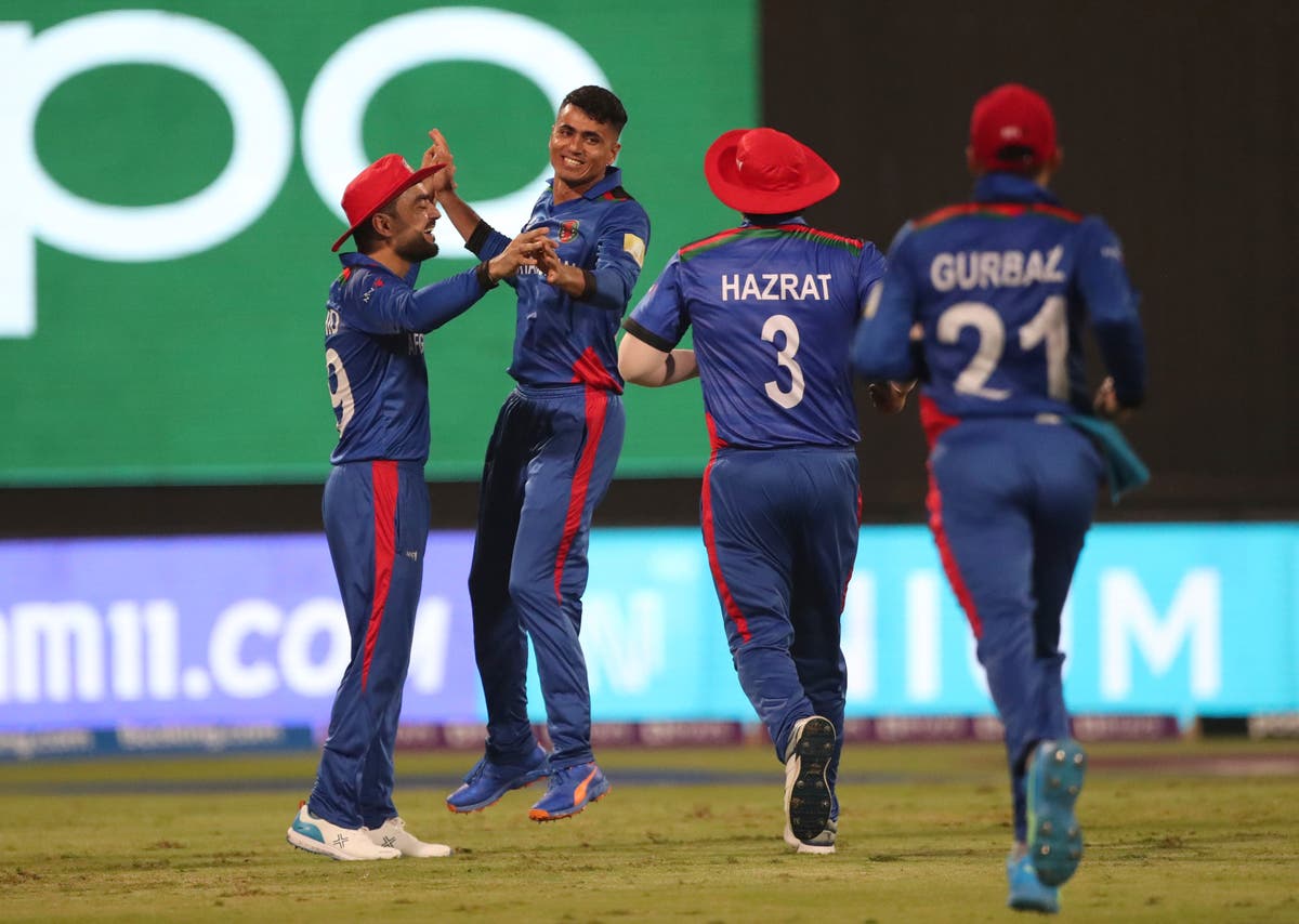 Mujeeb Ur Rahman impresses as Afghanistan claim T20 World Cup win over Scotland Mujeeb Ur Rahman impresses as Afghanistan claim T20 World Cup win over Scotland