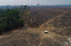 VP: Brazil to seek zero deforestation by 2028, up from 2030