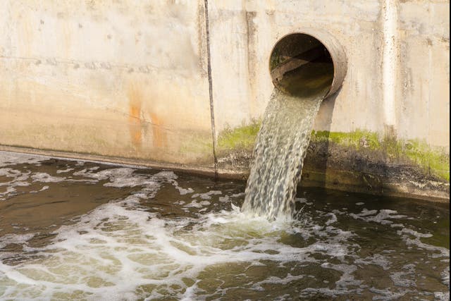 <p>Dirty water being discharged into a river</p>