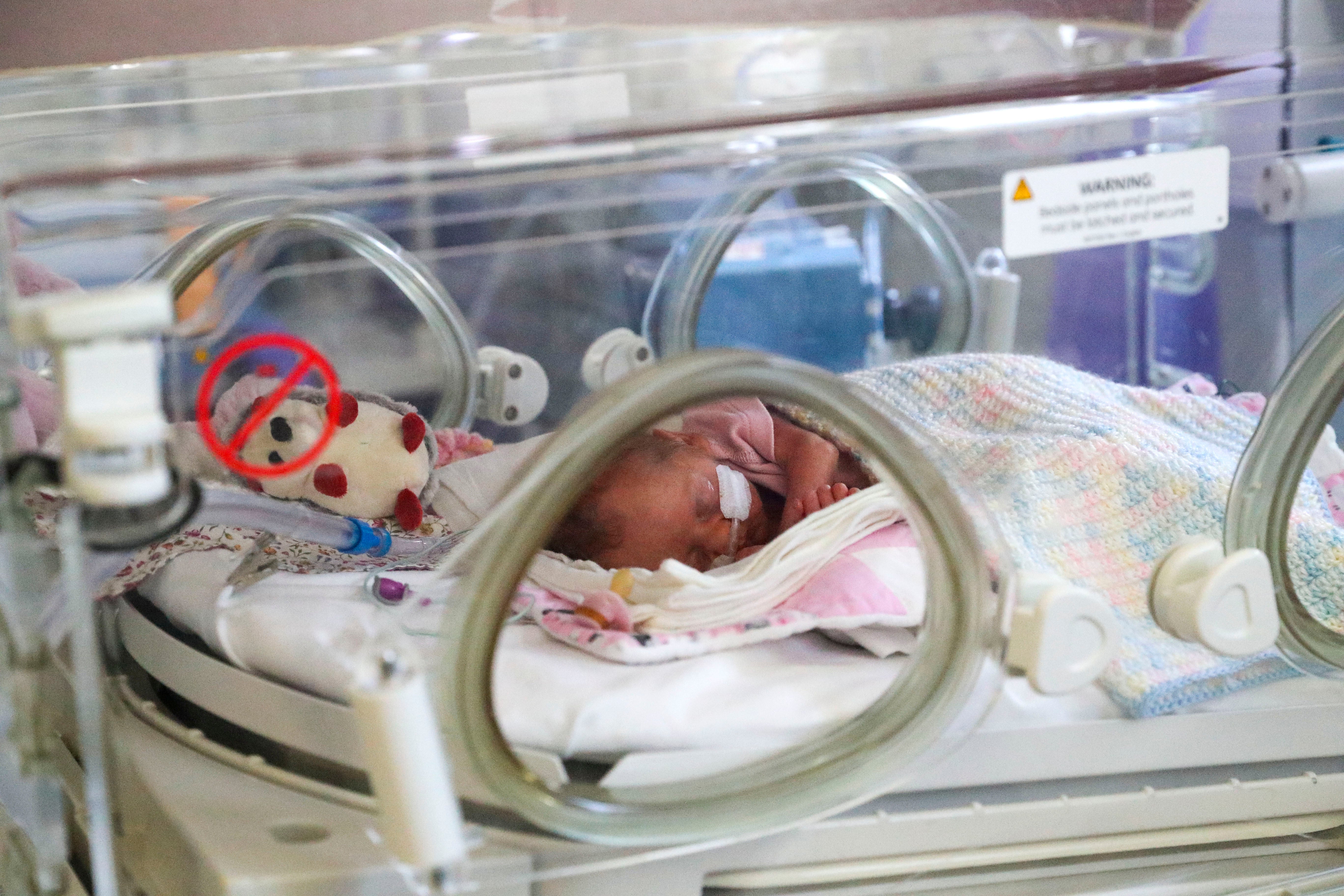 More than 250,000 babies were born into toxic air in 2019, say researchers.