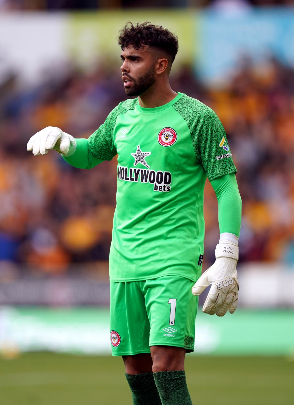 David Raya injury update is bad news for Brentford