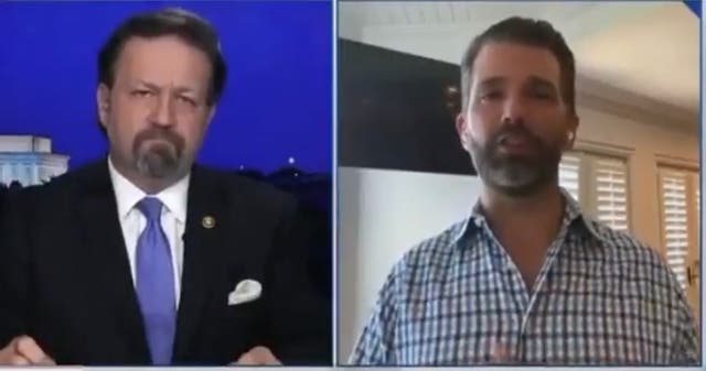 <p>El hijo mayor de Donald Trump hizo la extraña comparación durante una entrevista con el exasesor de su padre, Seb Gorka, en Newsmax.</p>