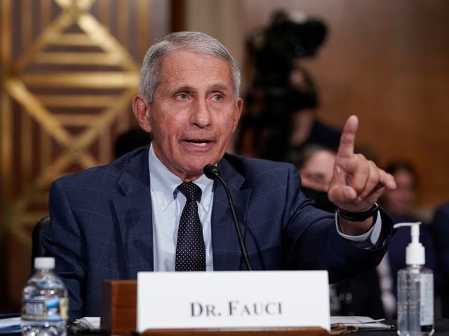 <p>File photo: Top infectious disease expert Dr Anthony Fauci</p>