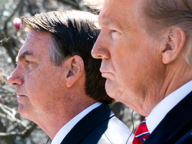 <p>Jair Bolsonaro and Donald Trump</p>