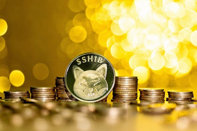<p>Shiba Inu coin and Floki Billionaire coin are a number of doge-themed spin-offs that have seen astonishing price gains in 2021 </p>