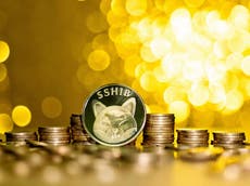 Shiba Inu coin price sky rockets to all-time high despite crypto crash