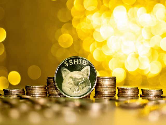 <p>Shiba Inu coin and Floki Billionaire coin are a number of doge-themed spin-offs that have seen astonishing price gains in 2021 </p>
