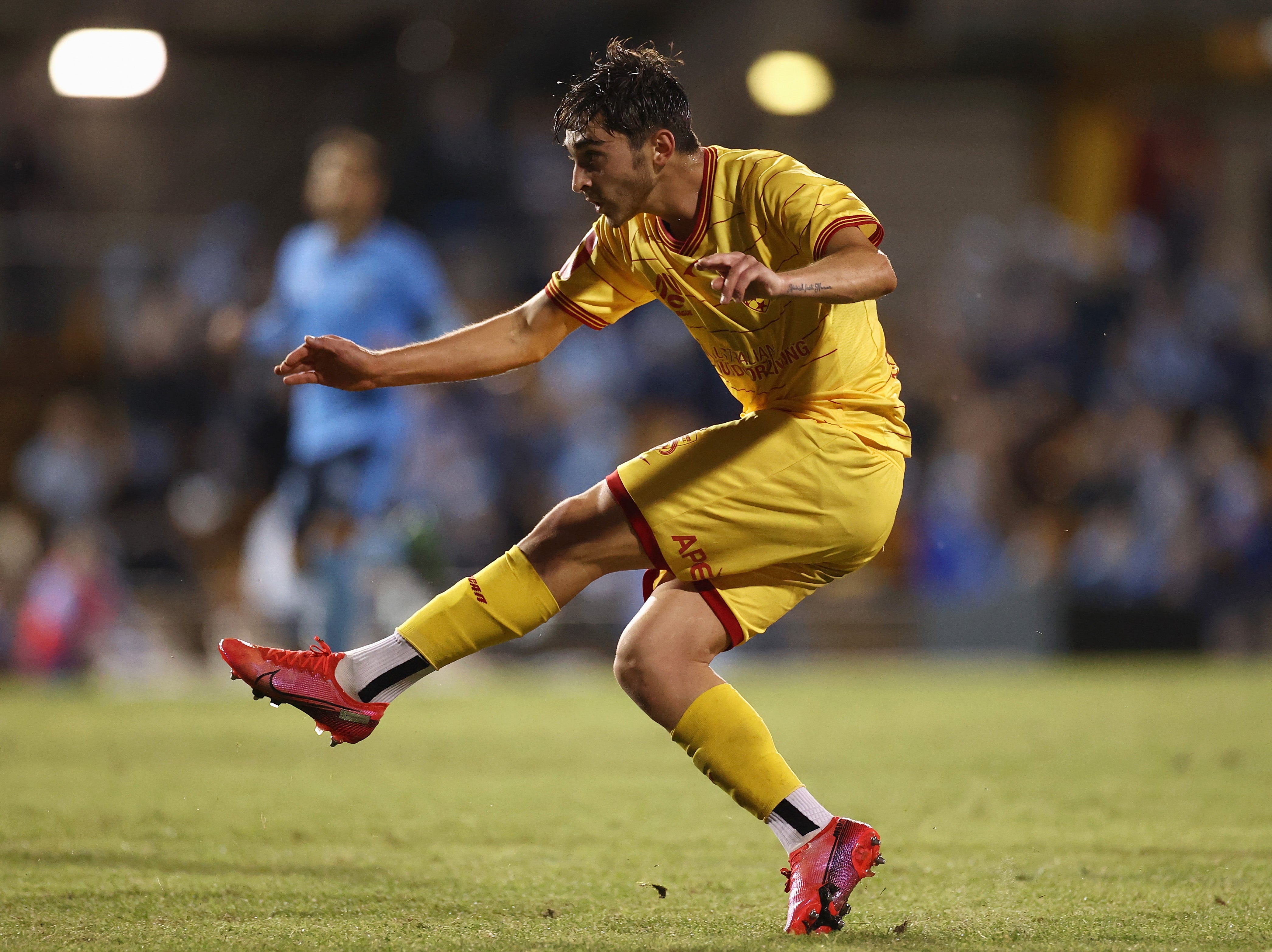 <p>Josh Cavallo of Adelaide United</p>