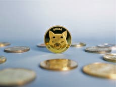 What is Shiba Inu coin? ‘Dogecoin killer’ outperforms crypto rivals with 750,000% price gains