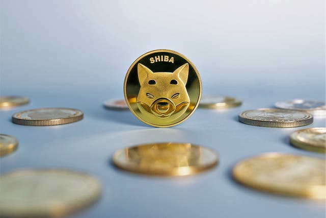 <p>Shiba Inu coin is one of several meme coins to have seen astonishing price gains in 2021</p>