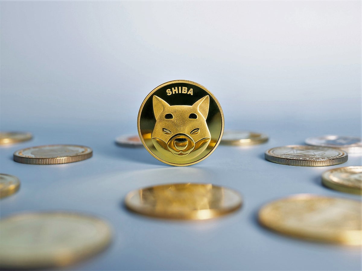 shiba inu coin price
