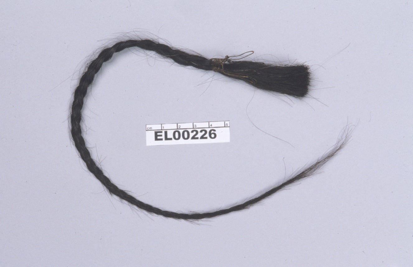 Hair from Lakota Sioux leader Sitting Bull’s scalp, from which DNA was extracted for analysis
