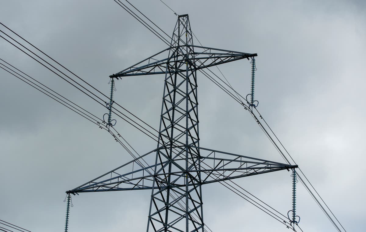 Government accelerates planning for collapse of energy supplier Bulb, report says