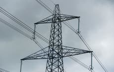 Government accelerates planning for collapse of energy supplier Bulb, report says