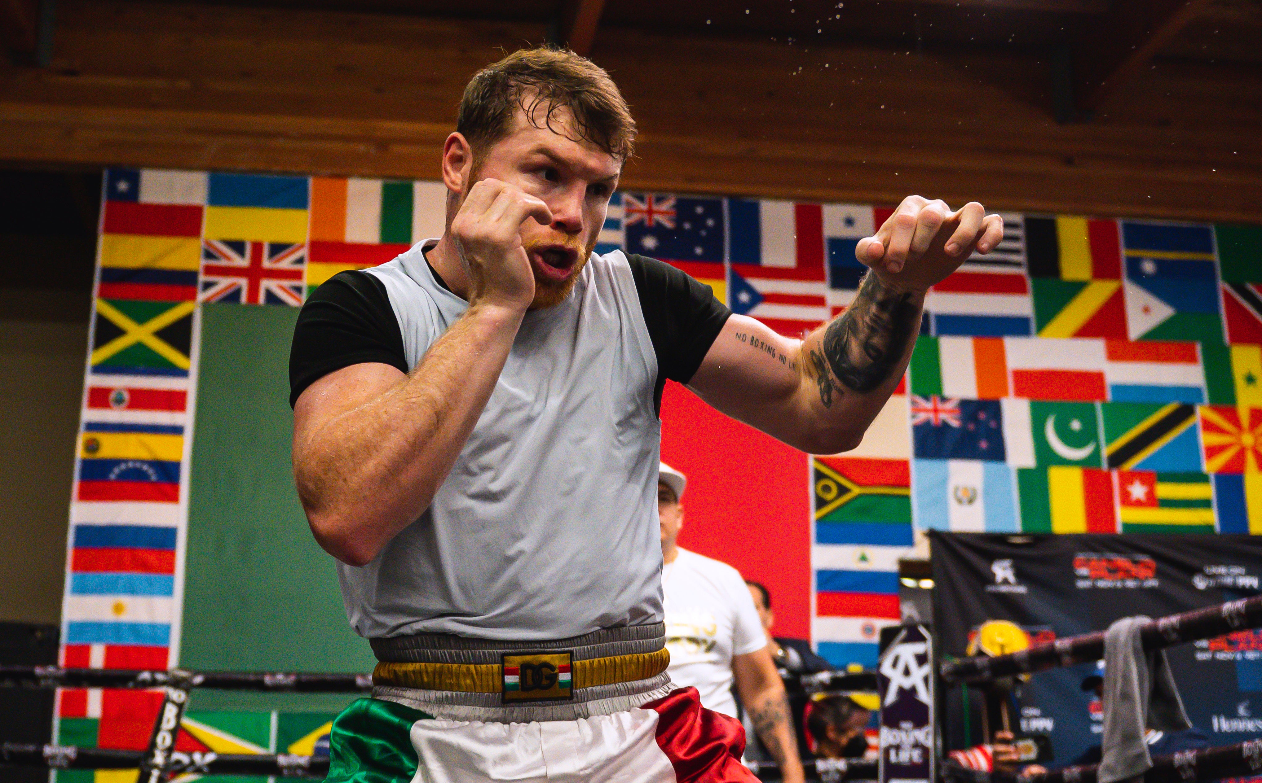 Alvarez defends a variety of super-middleweight belts in Las Vegas.