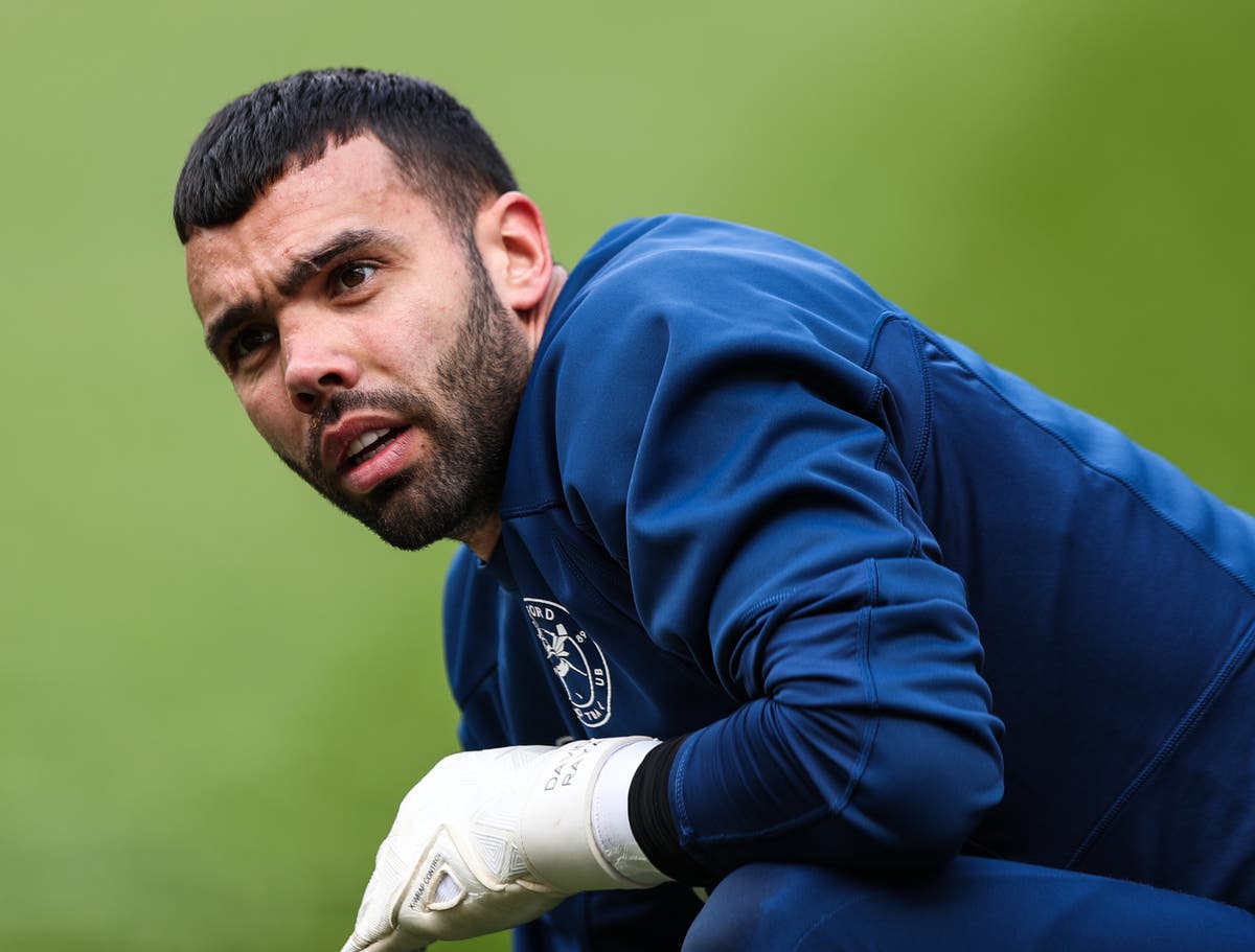 Thomas Frank says Brentford goalkeeper David Raya’s injury was a ‘massive blow’