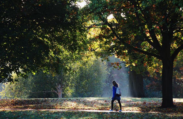 <p>Getting out for a walk and into the sunshine also helped cheer people up </p>