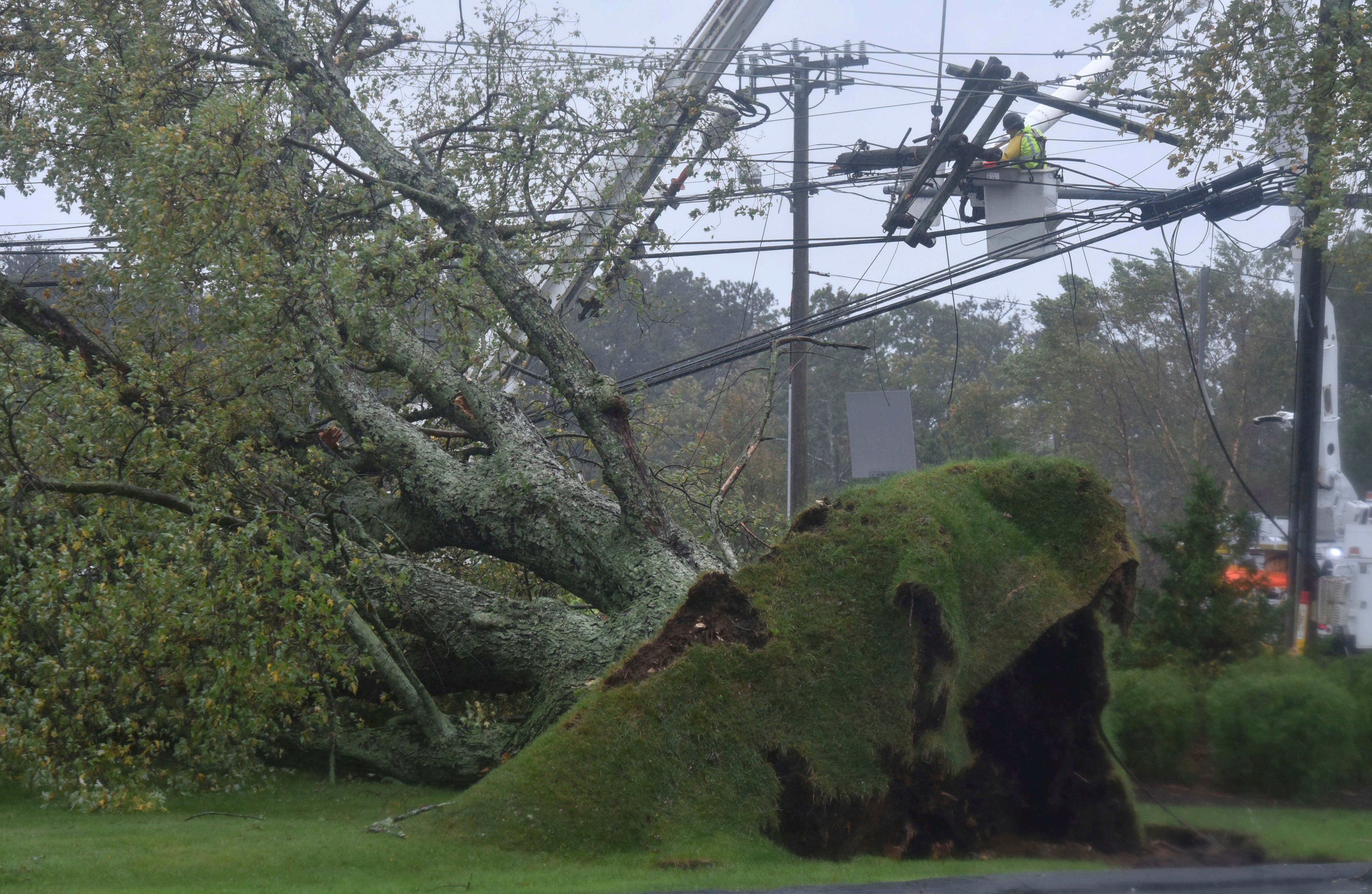 Northeast Storm