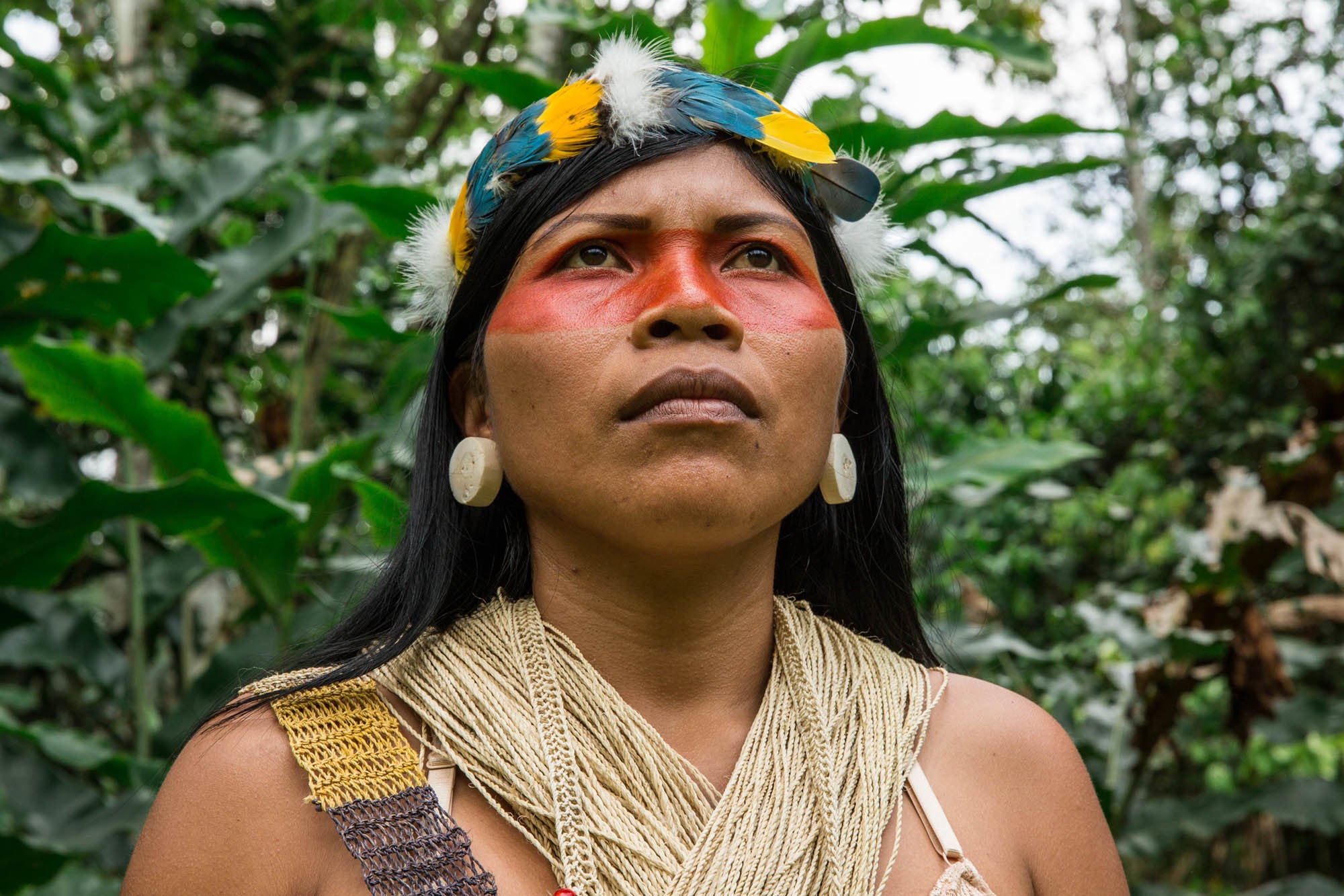 Nemonte Nenquimo is an Indigenous activist and leader of the Waorani nation from the Amazonian region of Ecuador