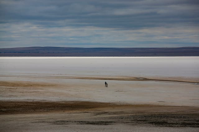 <p>A man walks along Tuz lake in Ankara province</p>