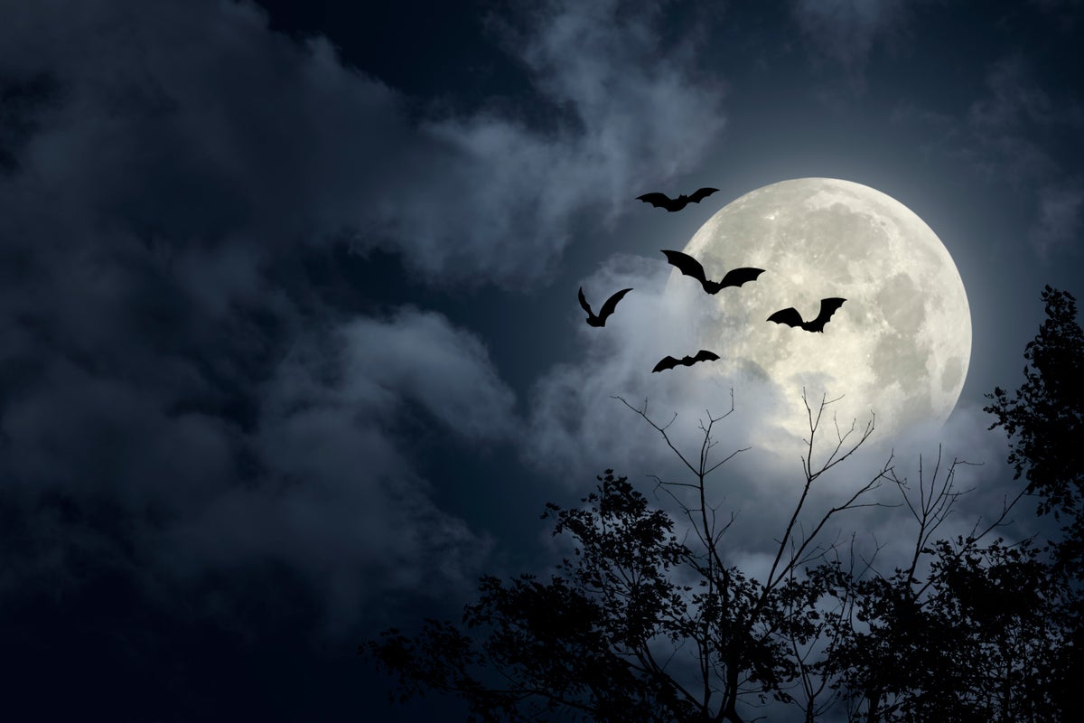 Welcome to the ‘El Nino of Halloween’: How astrology fans hope to harness its spooky power 