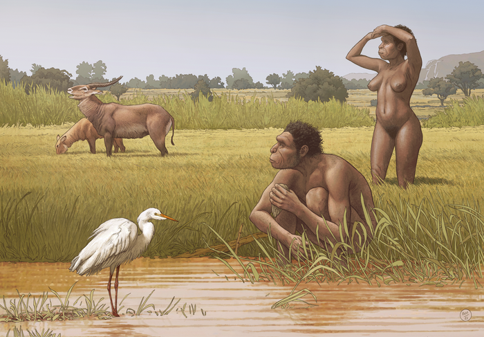 Homo bodoensis, a new species of human ancestor, lived in Africa during the Middle Pleistocene