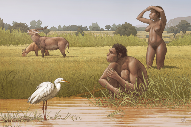 Homo bodoensis, una nueva especie de ancestro humano, vivió en África durante el Pleistoceno medio