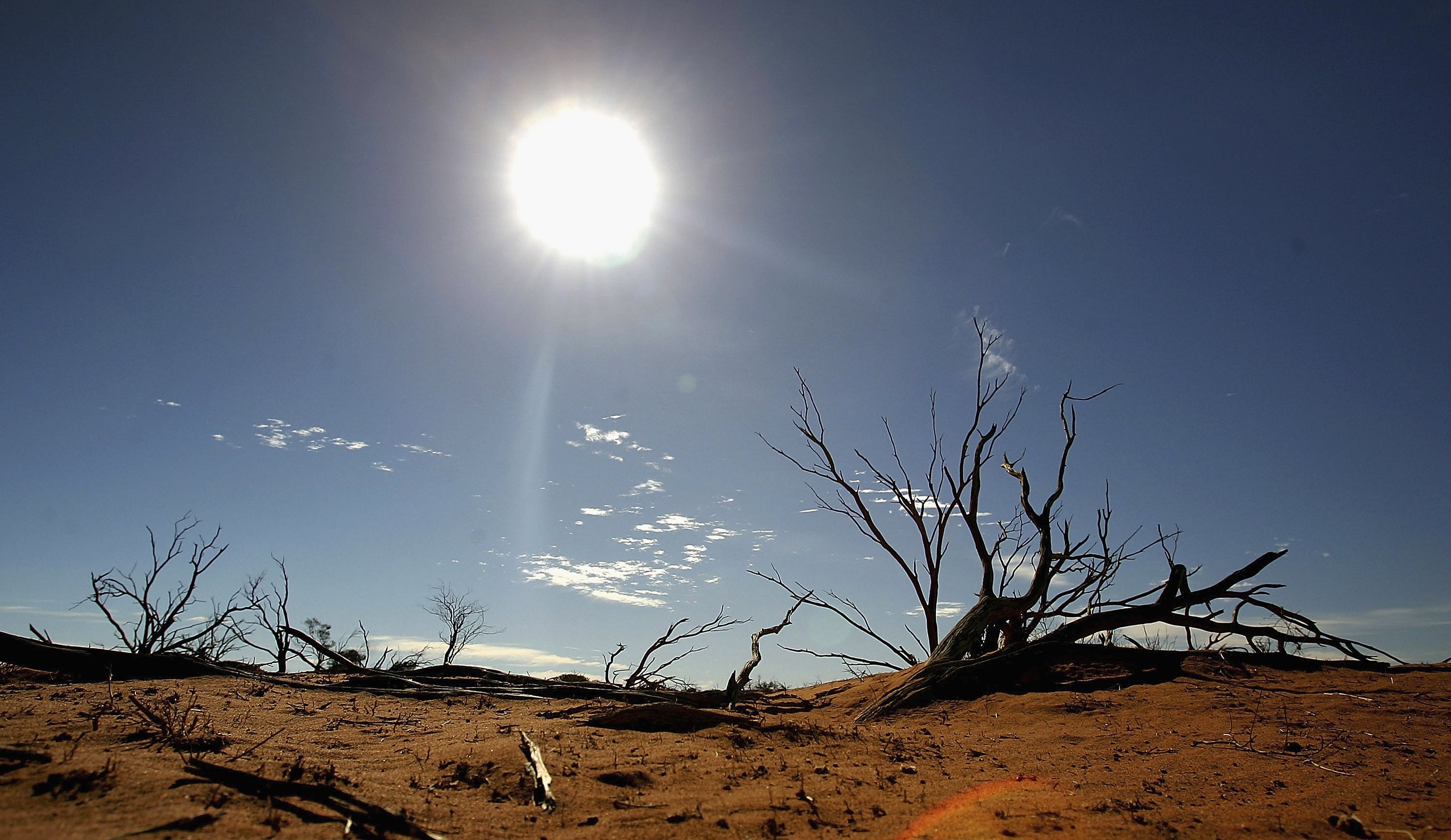 A temperature increase of 2C could lead to increased heatwaves as well as sea level rises