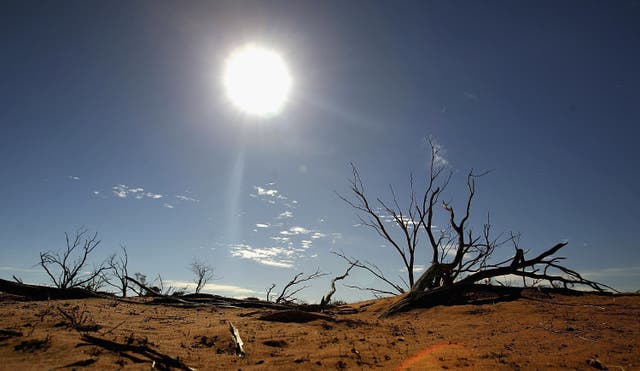 <p>A temperature increase of 2C could lead to increased heatwaves as well as sea level rises </p>