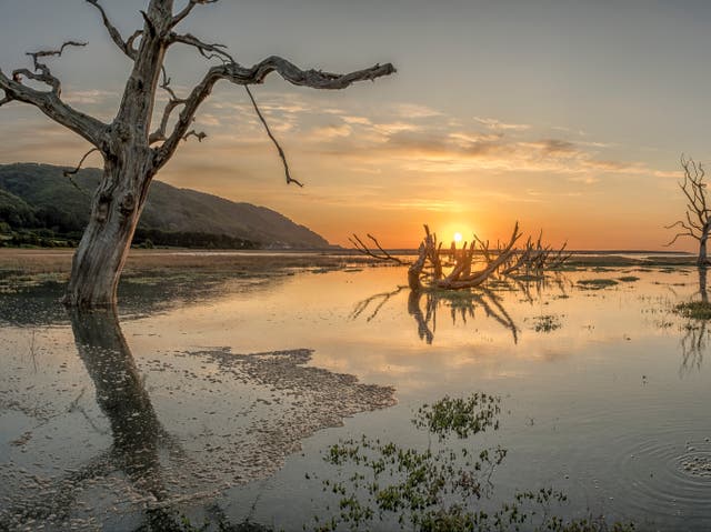 <p>Porlock Marsh in Exmoor National Park by Shaun Davey</p>