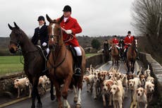 Fox ‘trail hunting’ must be banned on National Trust land, members say
